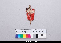 藏品(布袋戲道具-扇子)的圖片